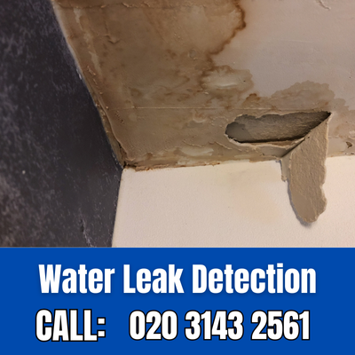 Expert Water Leak Detection Services in Hornsey | Hornsey Leak Detection